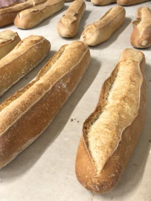 La baguette Poolish